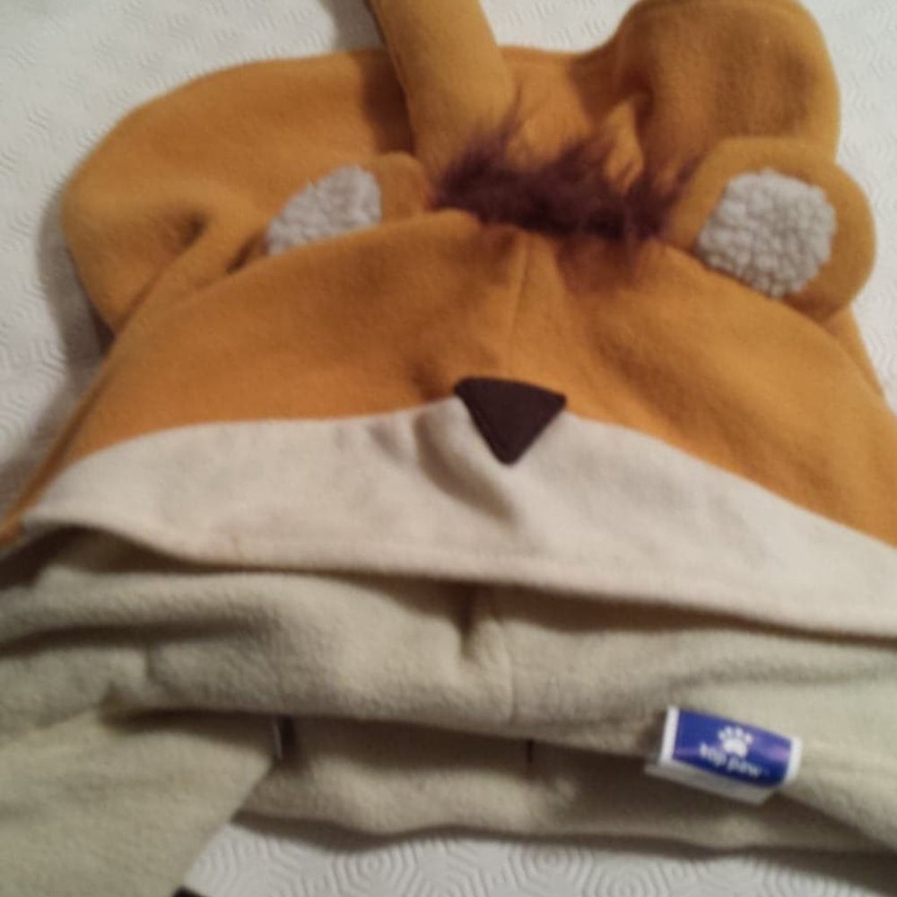 Large Top Paws Lion Costume for your bestie's Halloween costume